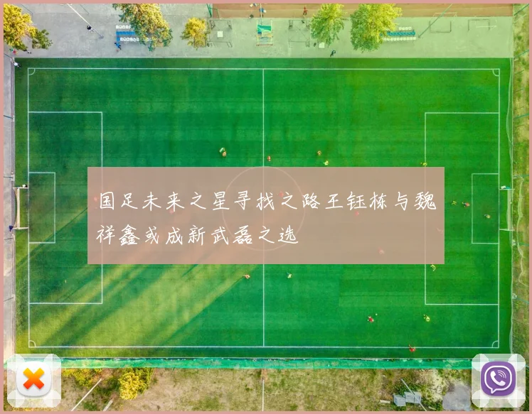 国足未来之星寻找之路王钰栋与魏祥鑫或成新武磊之选